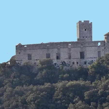 Anduze Les Pins Au 