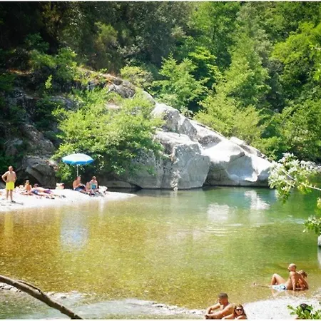 Anduze Les Pins Au 