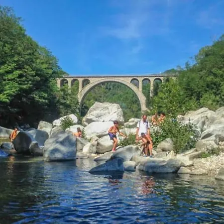 Anduze Les Pins Au 