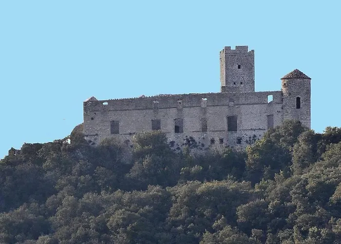 Anduze Les Pins Au 