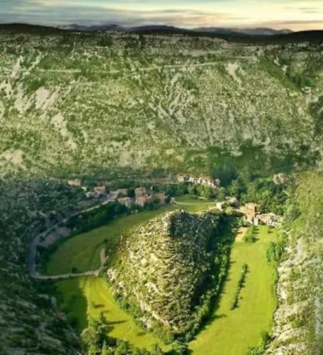 Anduze Les Pins Au 