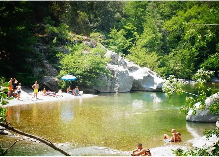Anduze Les Pins Au 