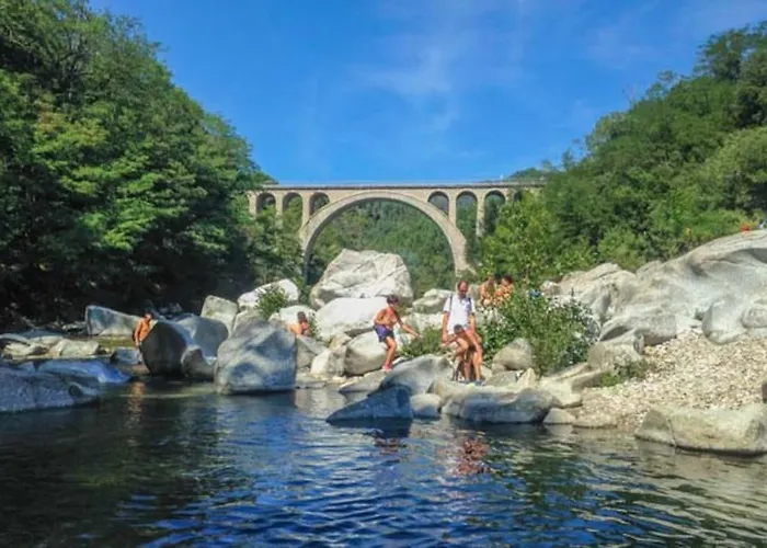 Anduze Les Pins Au 